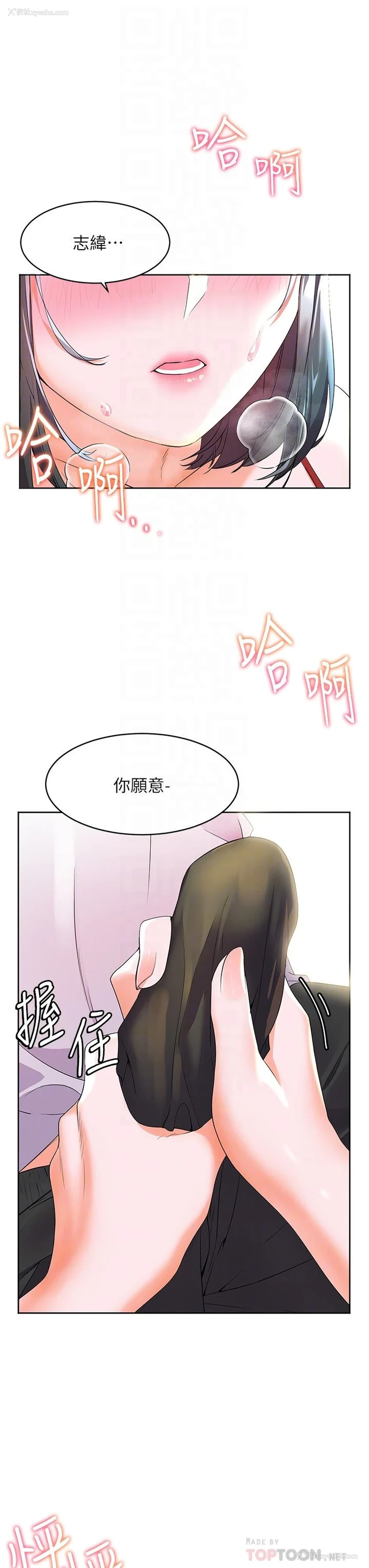 16P - 幸福小岛