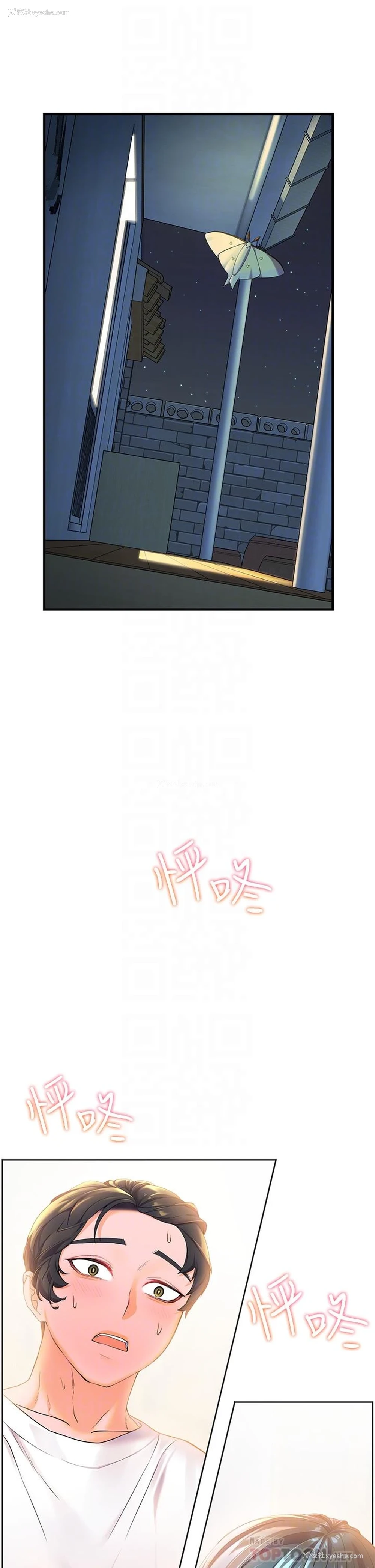 4P - 幸福小岛