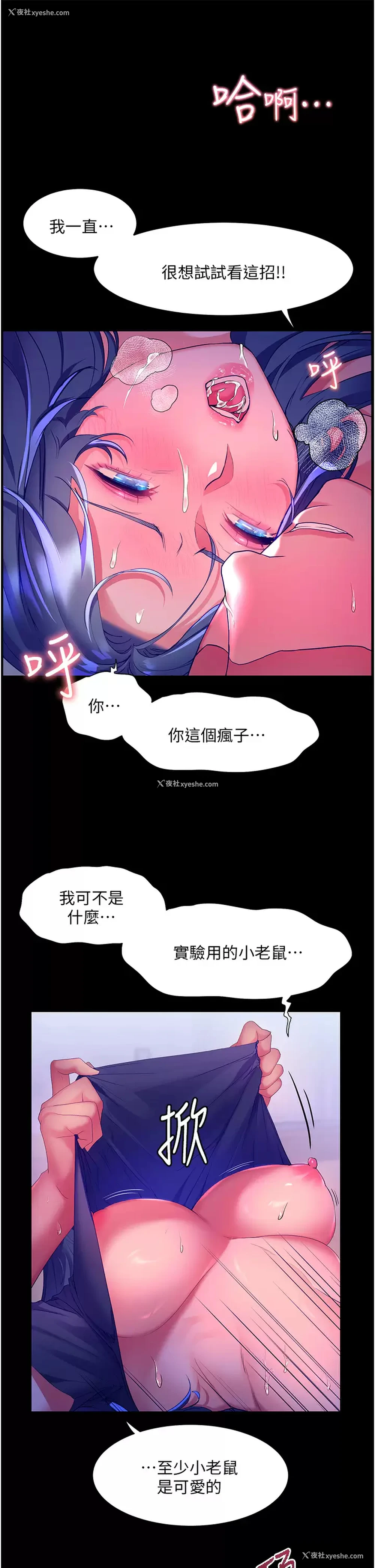17P - 幸福小岛