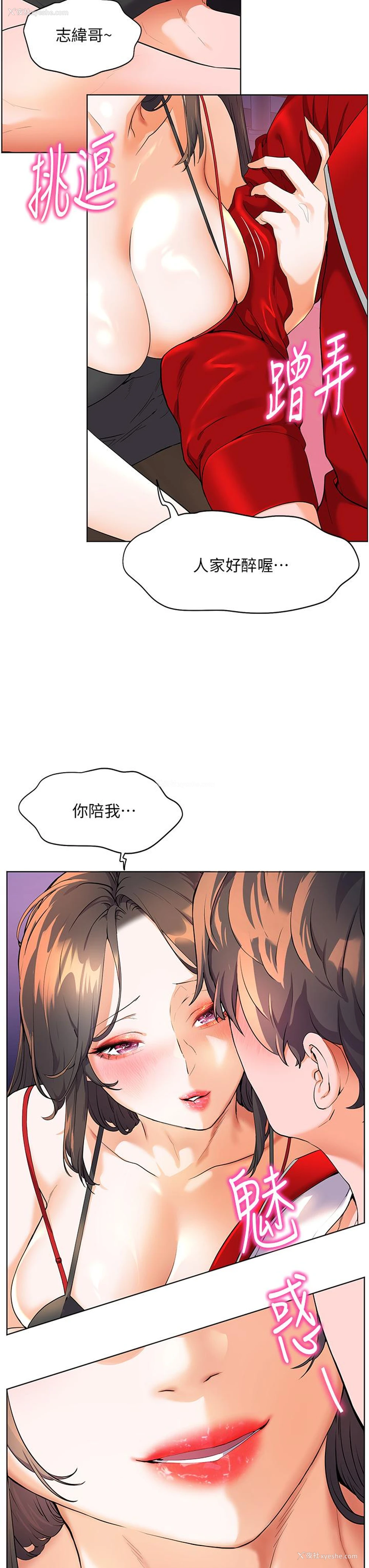 9P - 幸福小岛