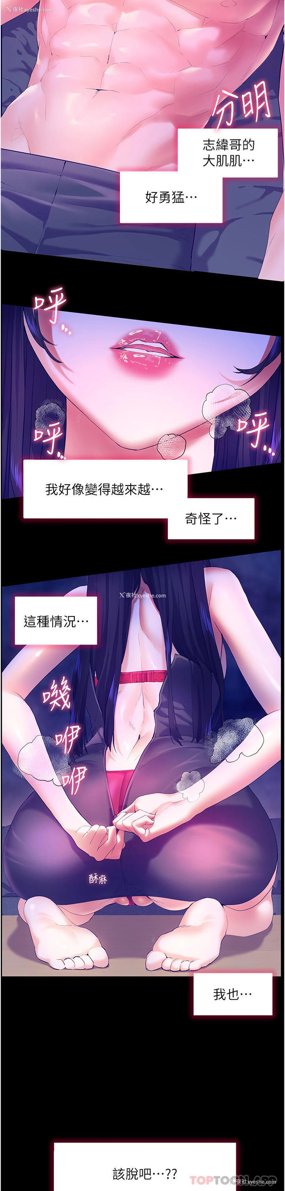 4P - 幸福小岛