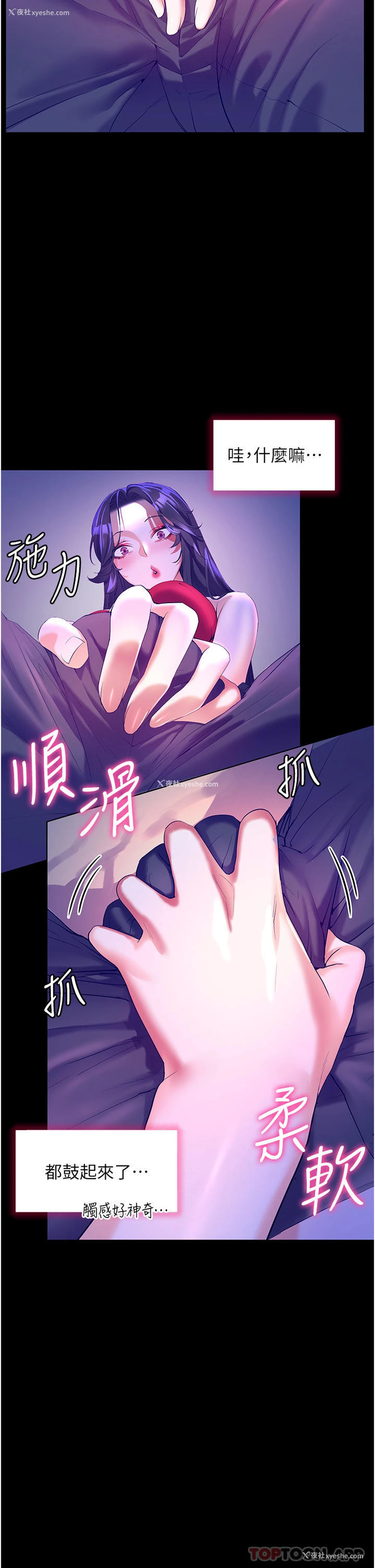7P - 幸福小岛