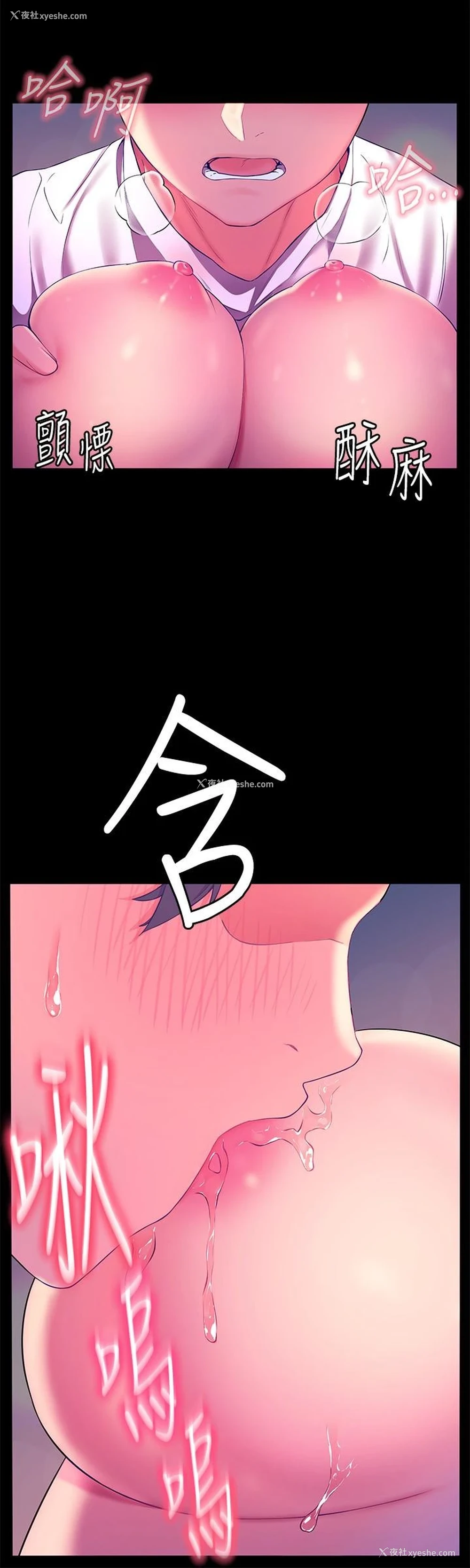 19P - 幸福小岛
