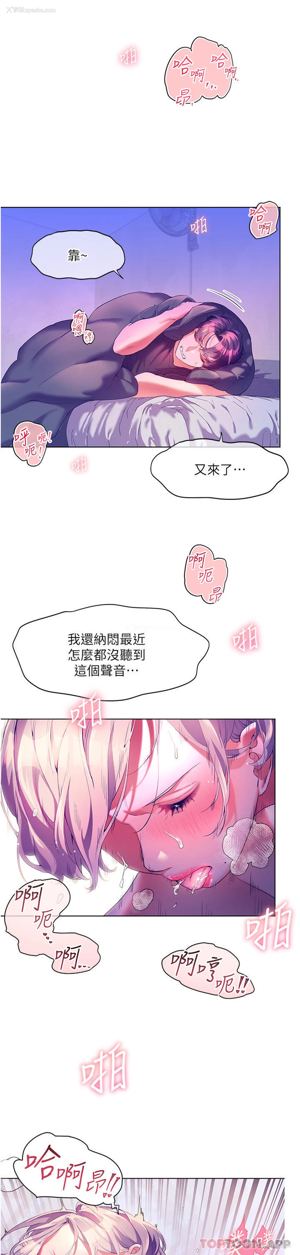 2P - 幸福小岛