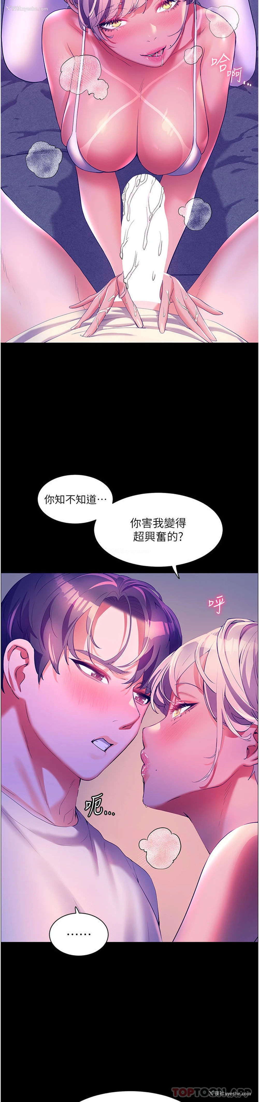 8P - 幸福小岛
