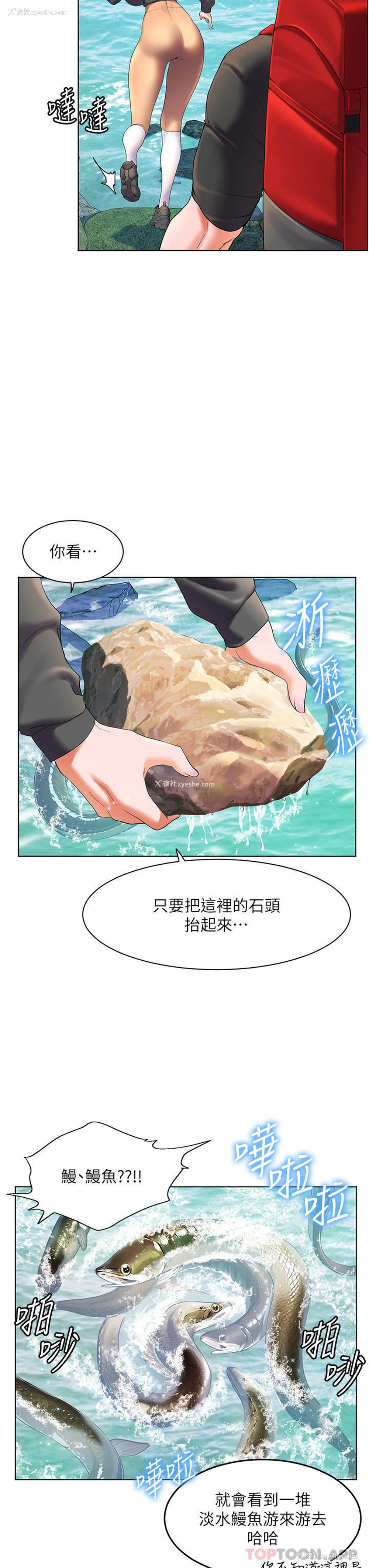 8P - 幸福小岛