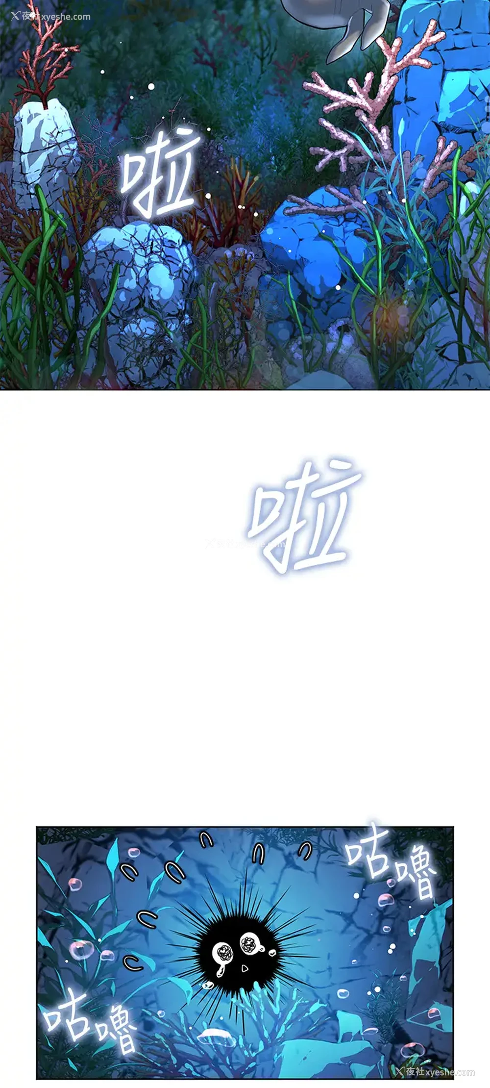 26P - 幸福小岛