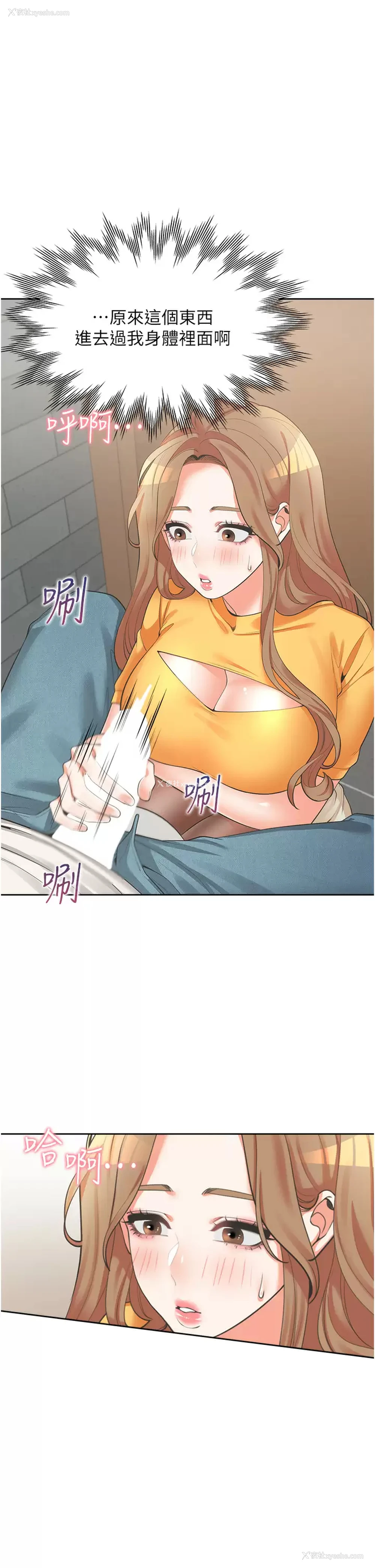 24P - 同居上下铺