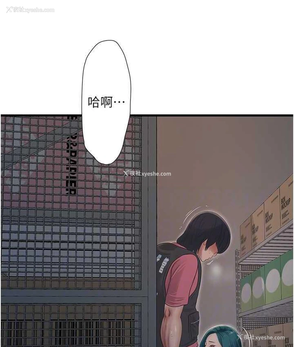 29P - 水电工日志