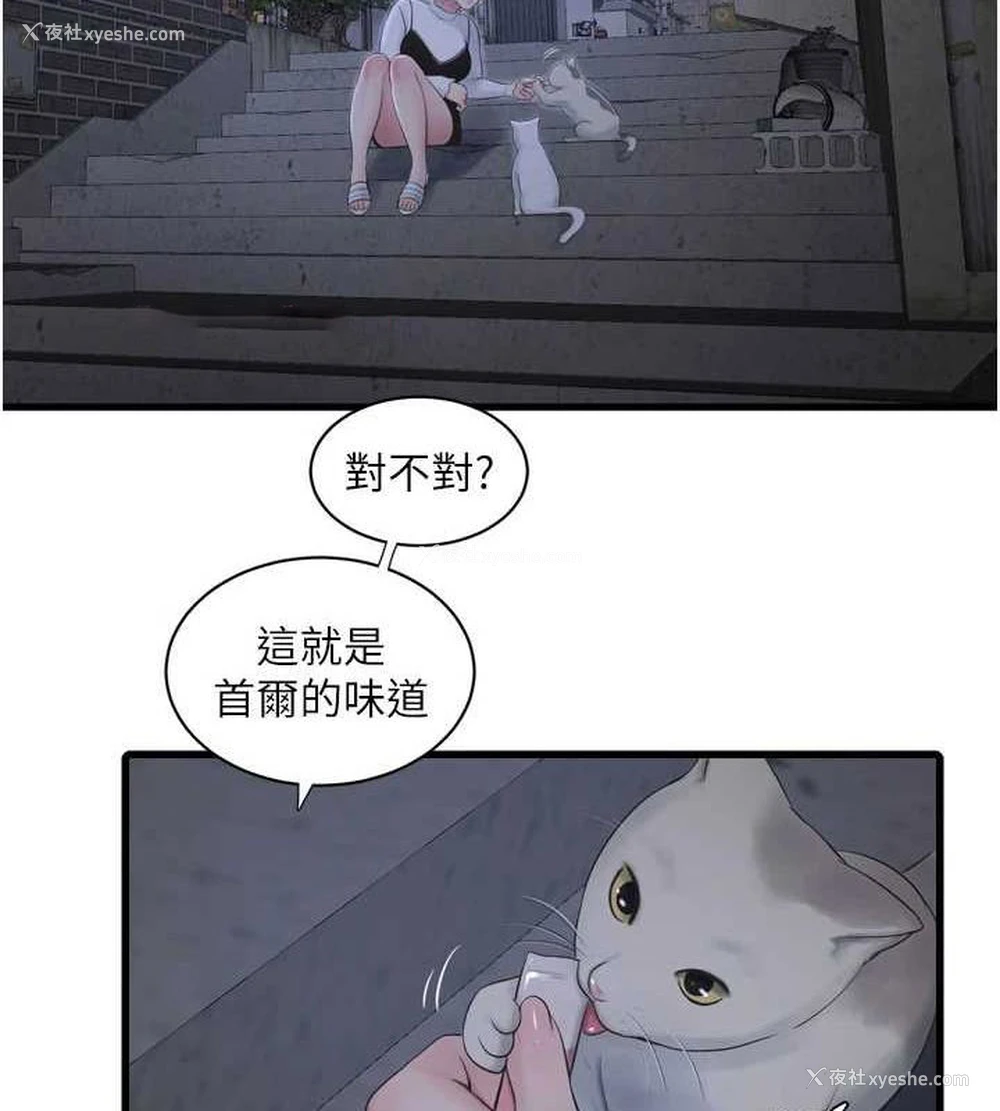 48P - 水电工日志