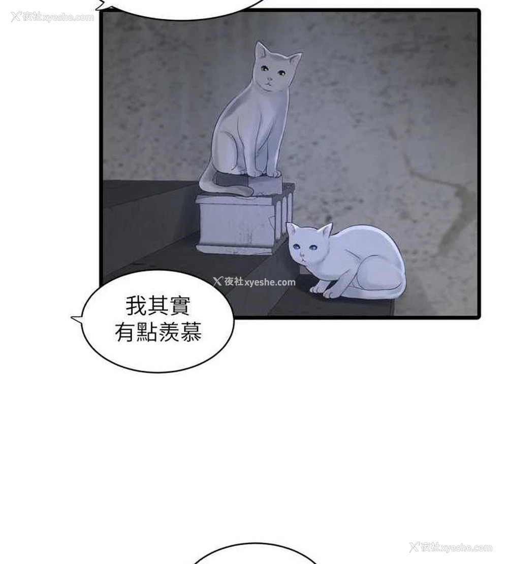 61P - 水电工日志
