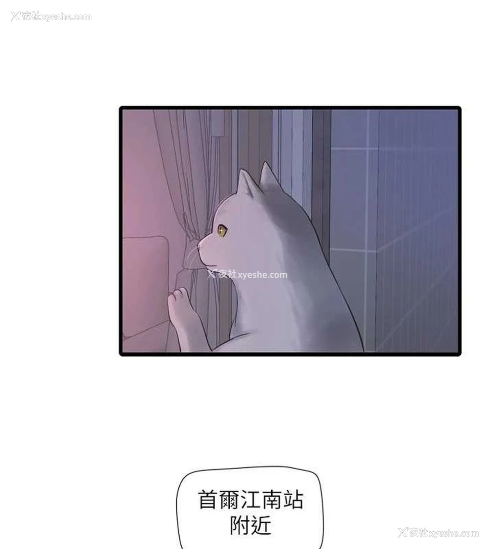 54P - 水电工日志