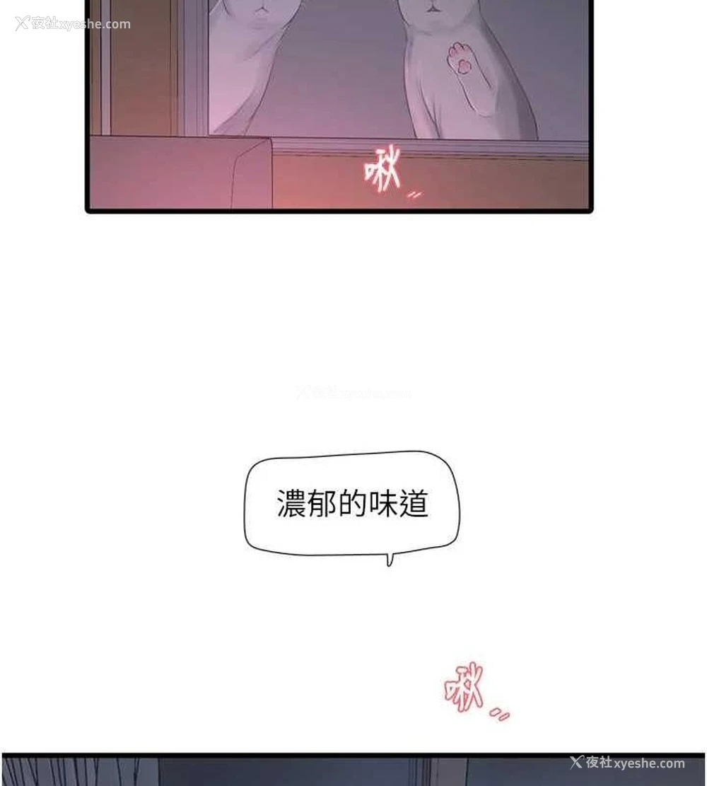 62P - 水电工日志