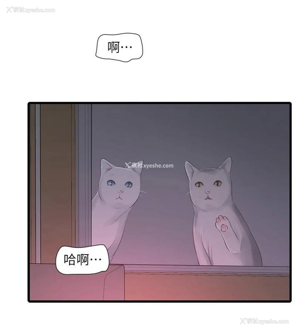 5P - 水电工日志
