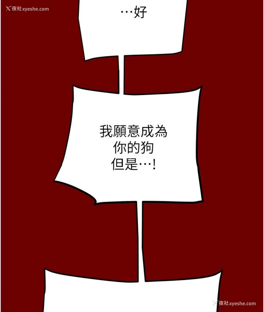 164P - 掠夺行动