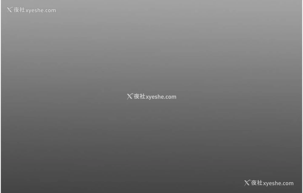 254P - 掠夺行动