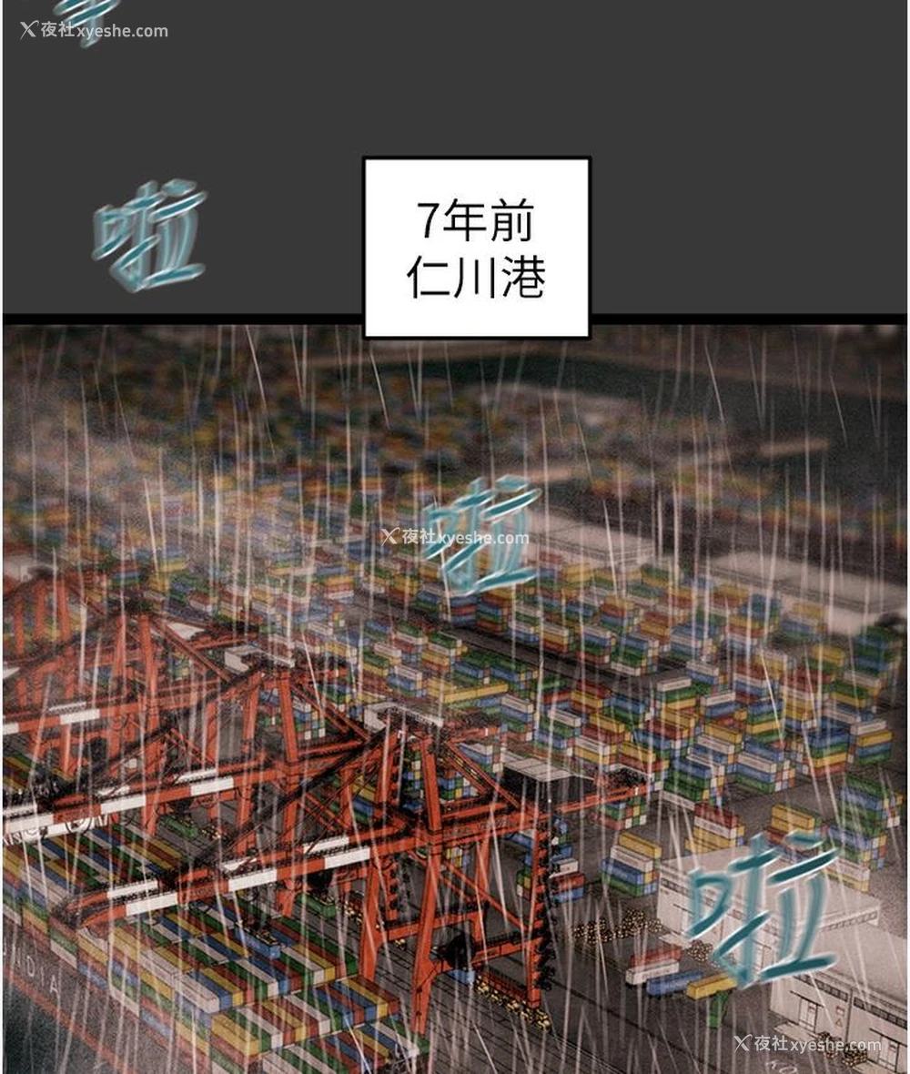 329P - 掠夺行动