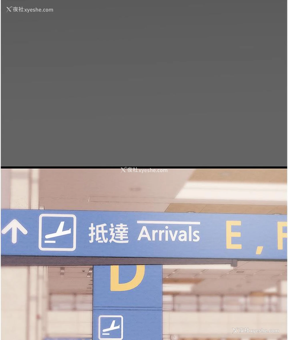 341P - 掠夺行动