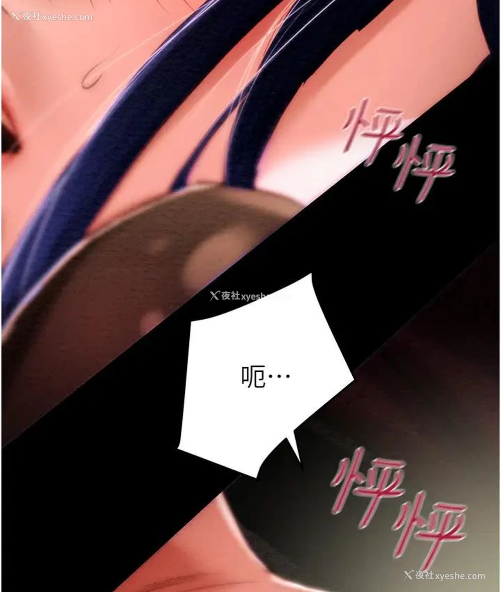 12P - 掠夺行动