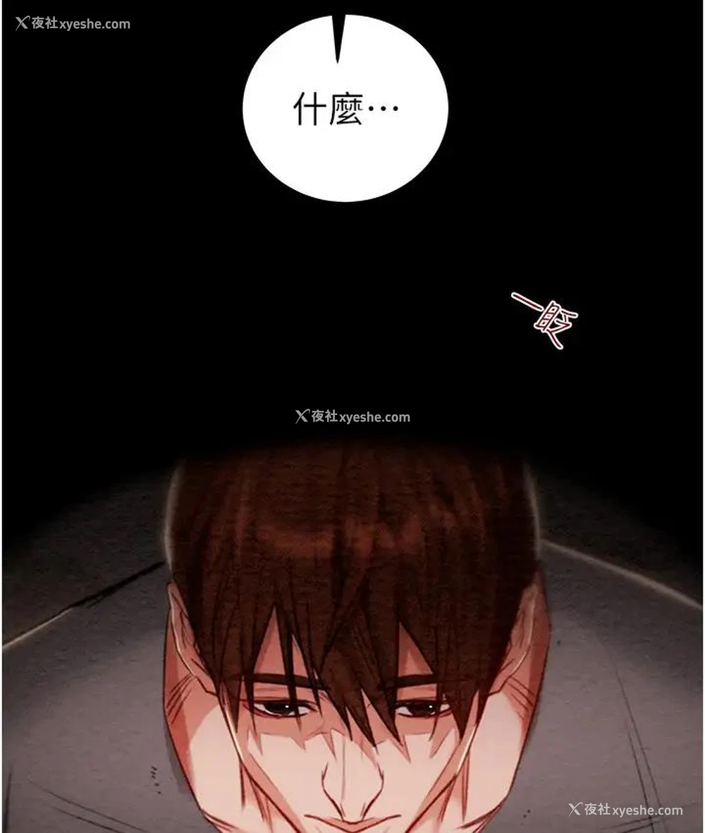 217P - 掠夺行动