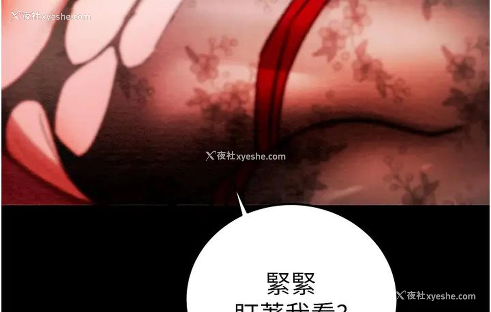 233P - 掠夺行动