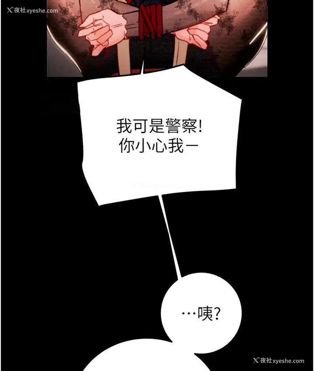 246P - 掠夺行动