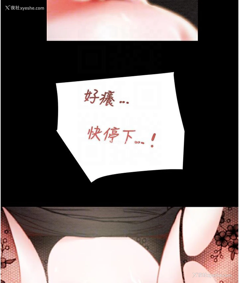 89P - 掠夺行动