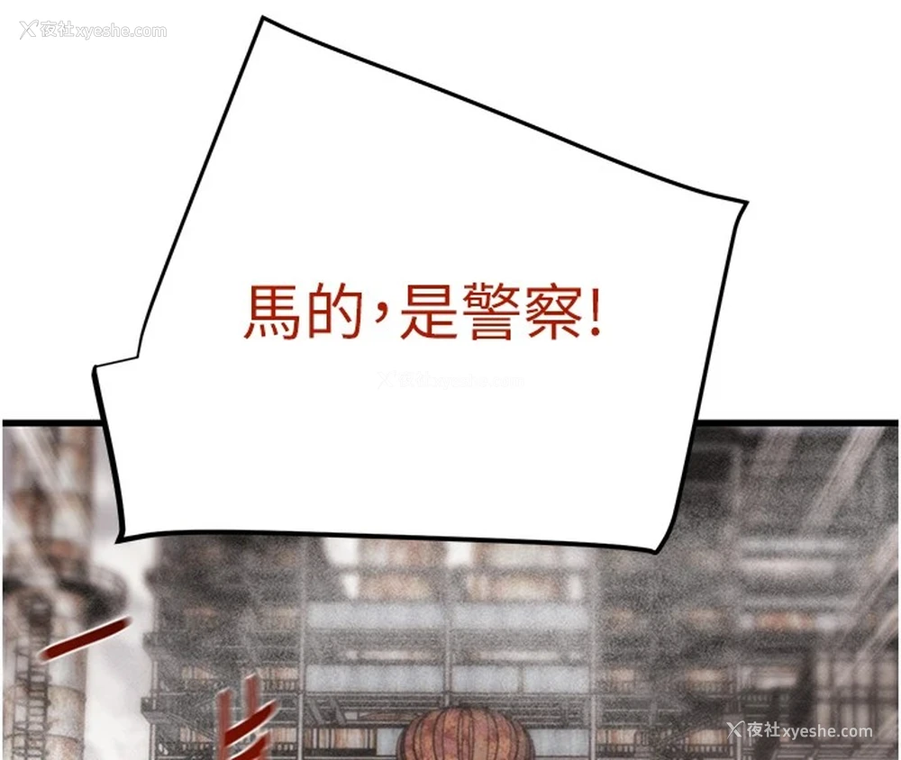 164P - 掠夺行动