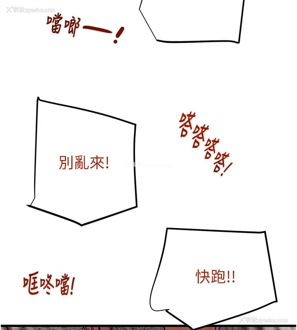 166P - 掠夺行动
