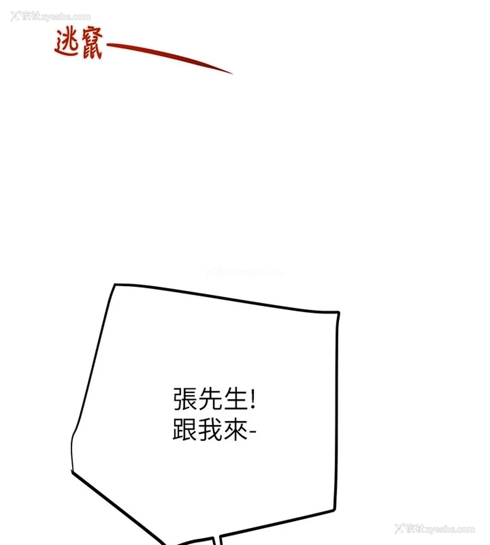 169P - 掠夺行动