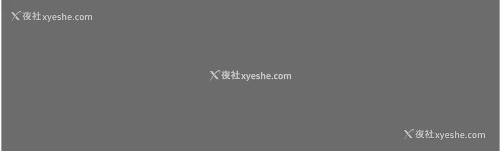 105P - 掠夺行动