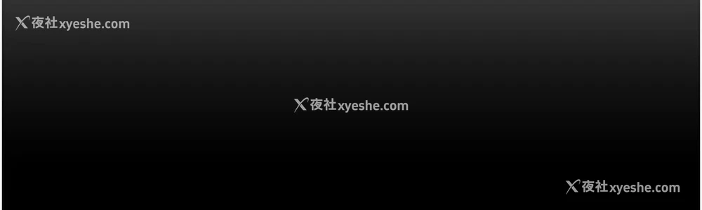 10P - 掠夺行动