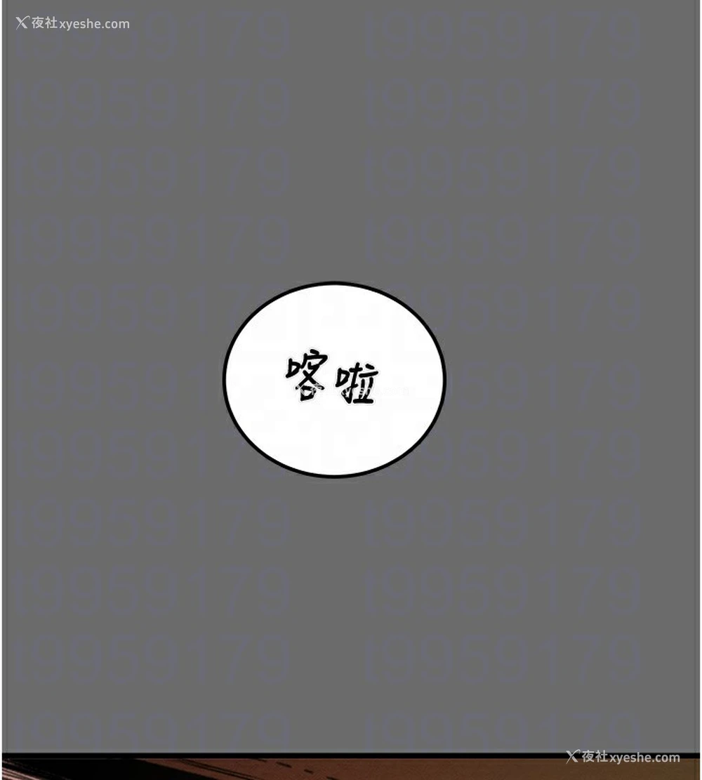 113P - 掠夺行动