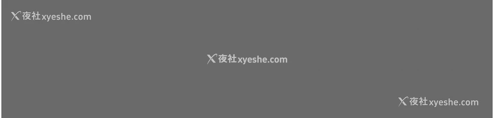 16P - 掠夺行动