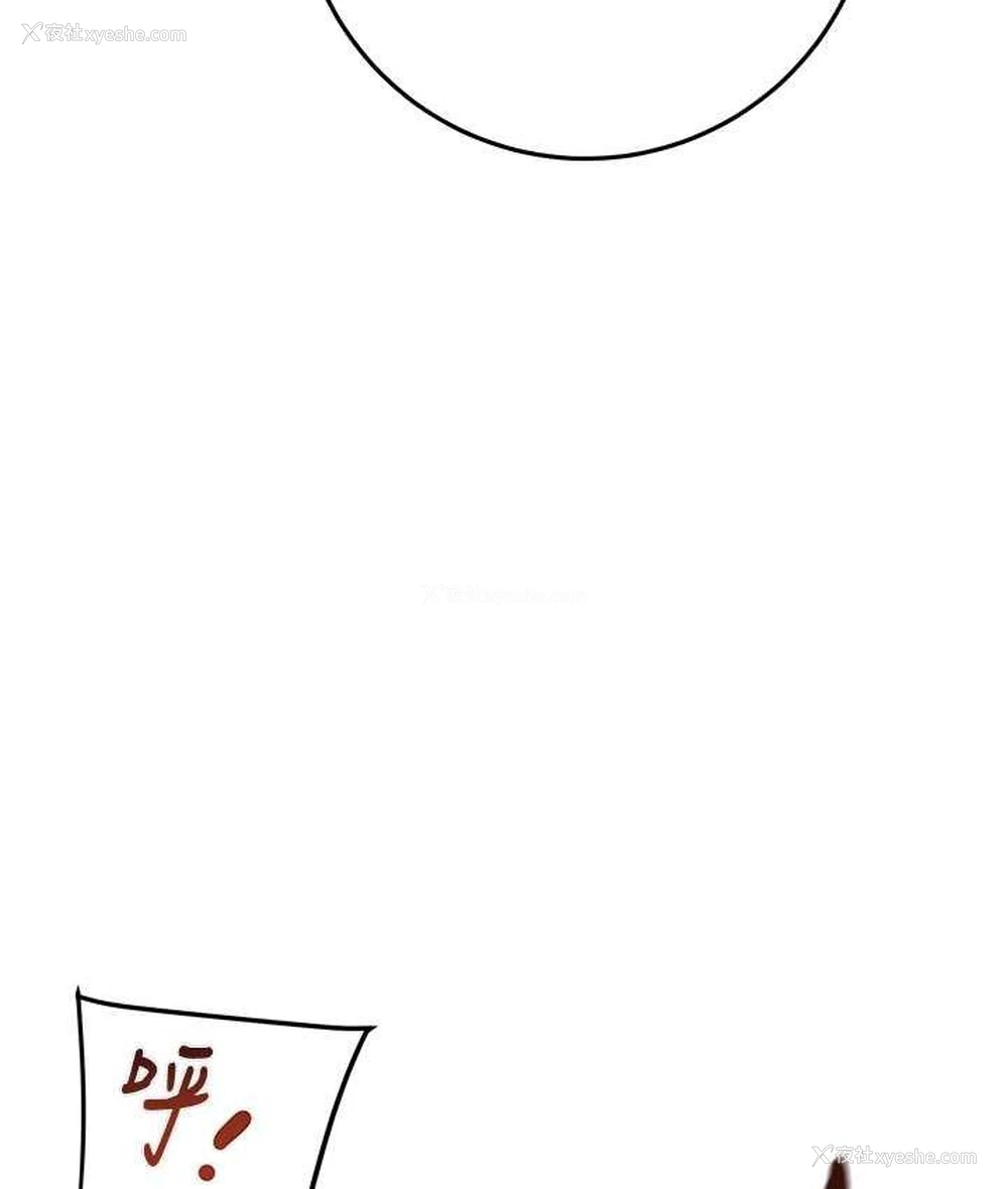 113P - 掠夺行动