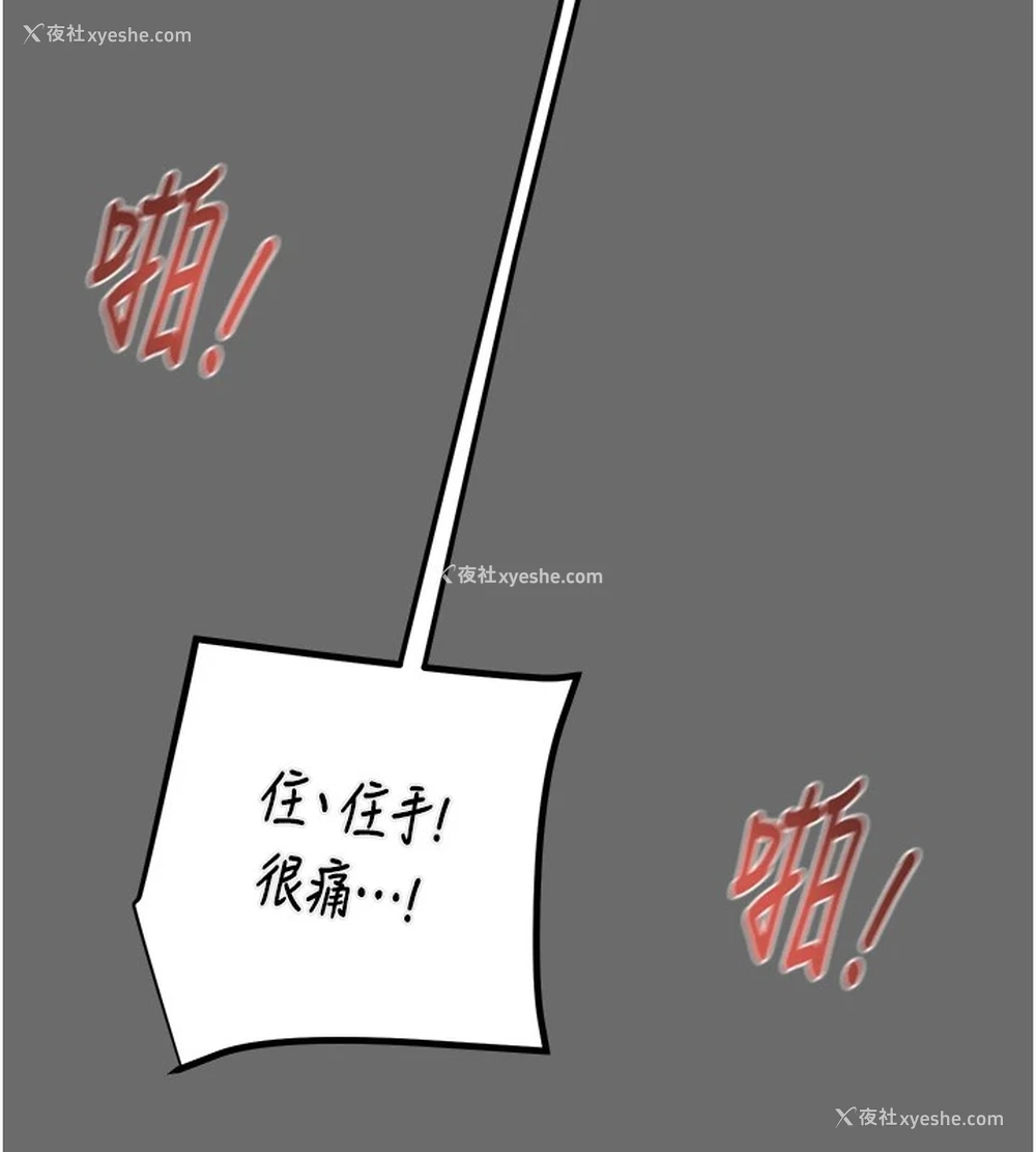 193P - 掠夺行动
