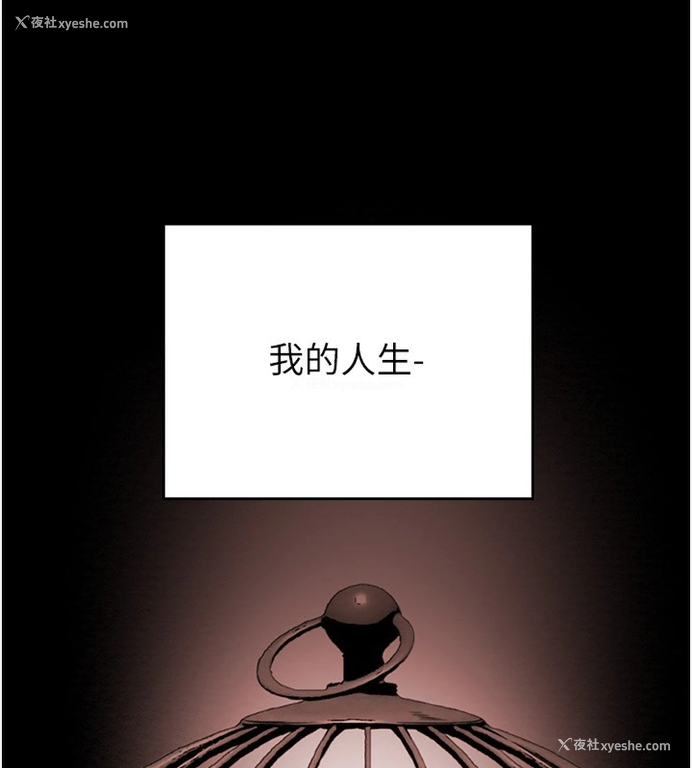 215P - 掠夺行动