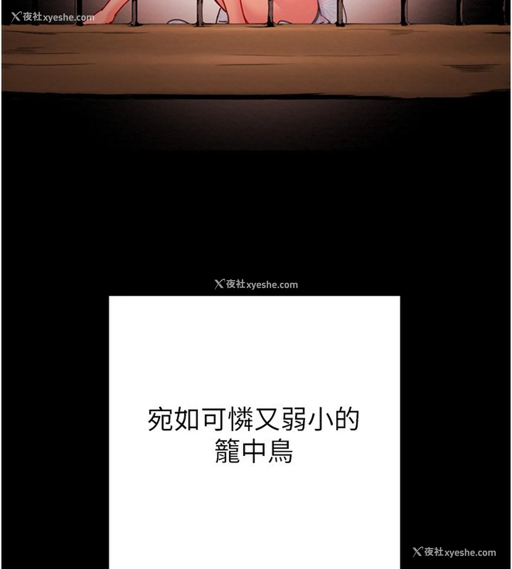 217P - 掠夺行动