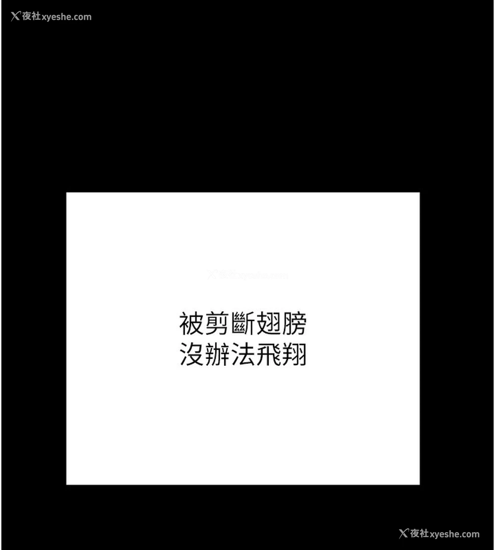 219P - 掠夺行动