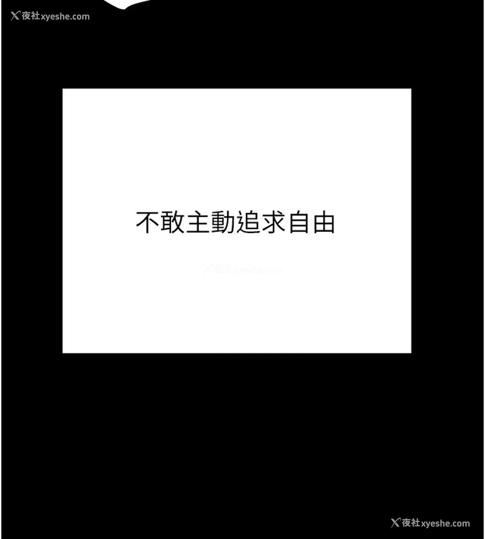 223P - 掠夺行动