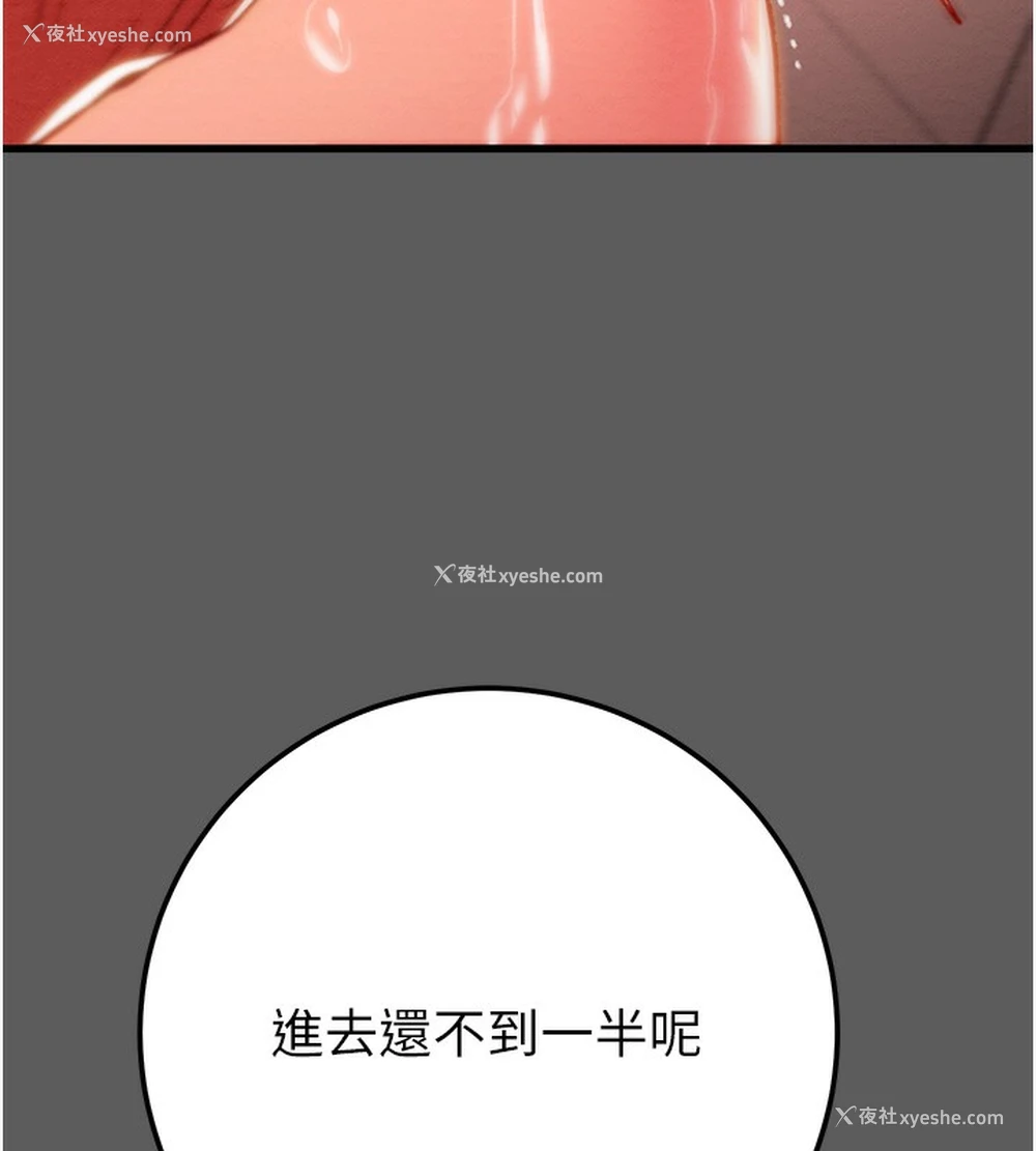 41P - 掠夺行动