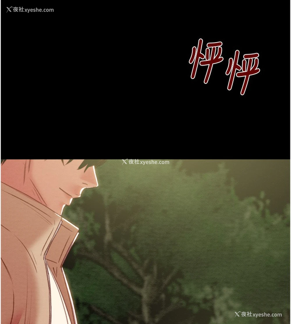 208P - 掠夺行动