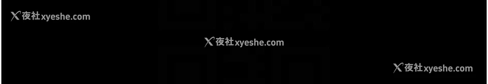 37P - 掠夺行动