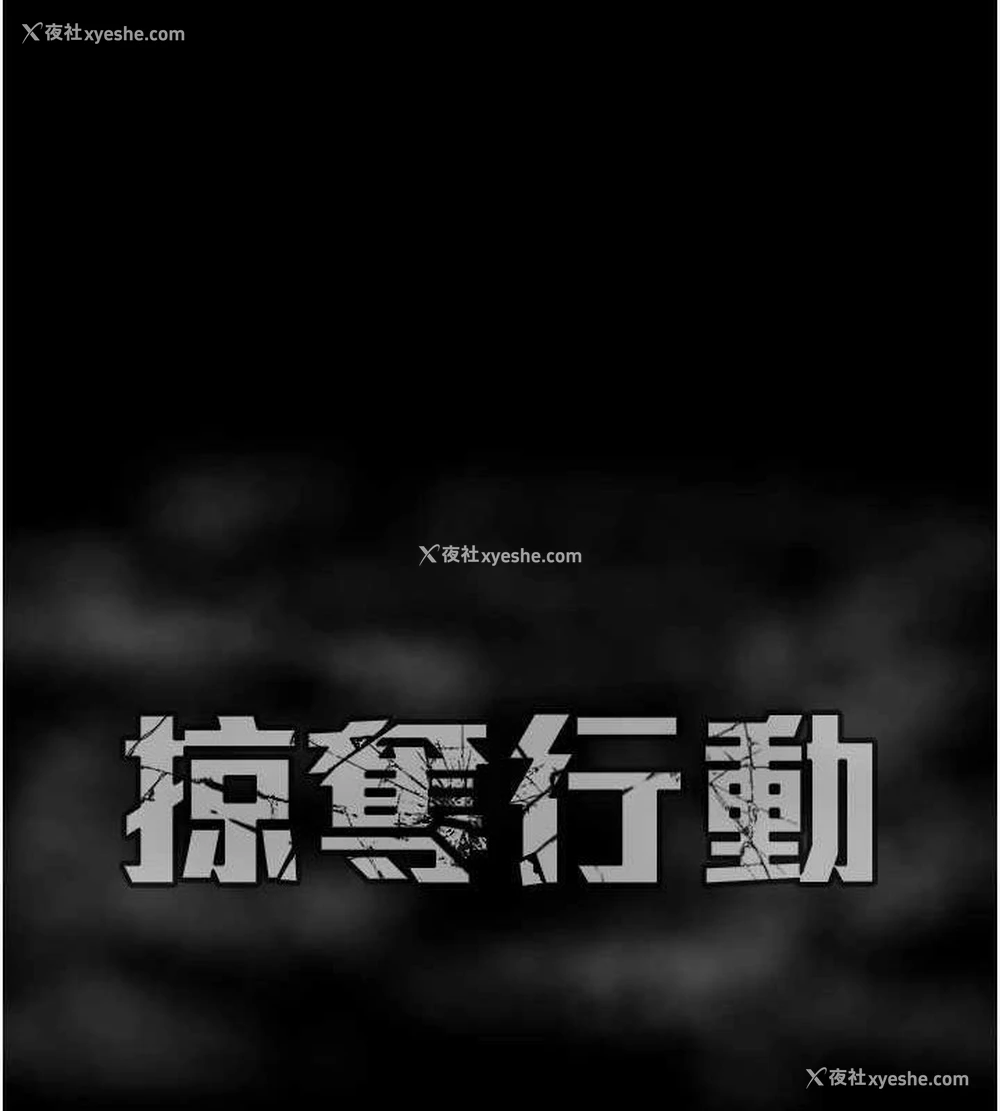 207P - 掠夺行动