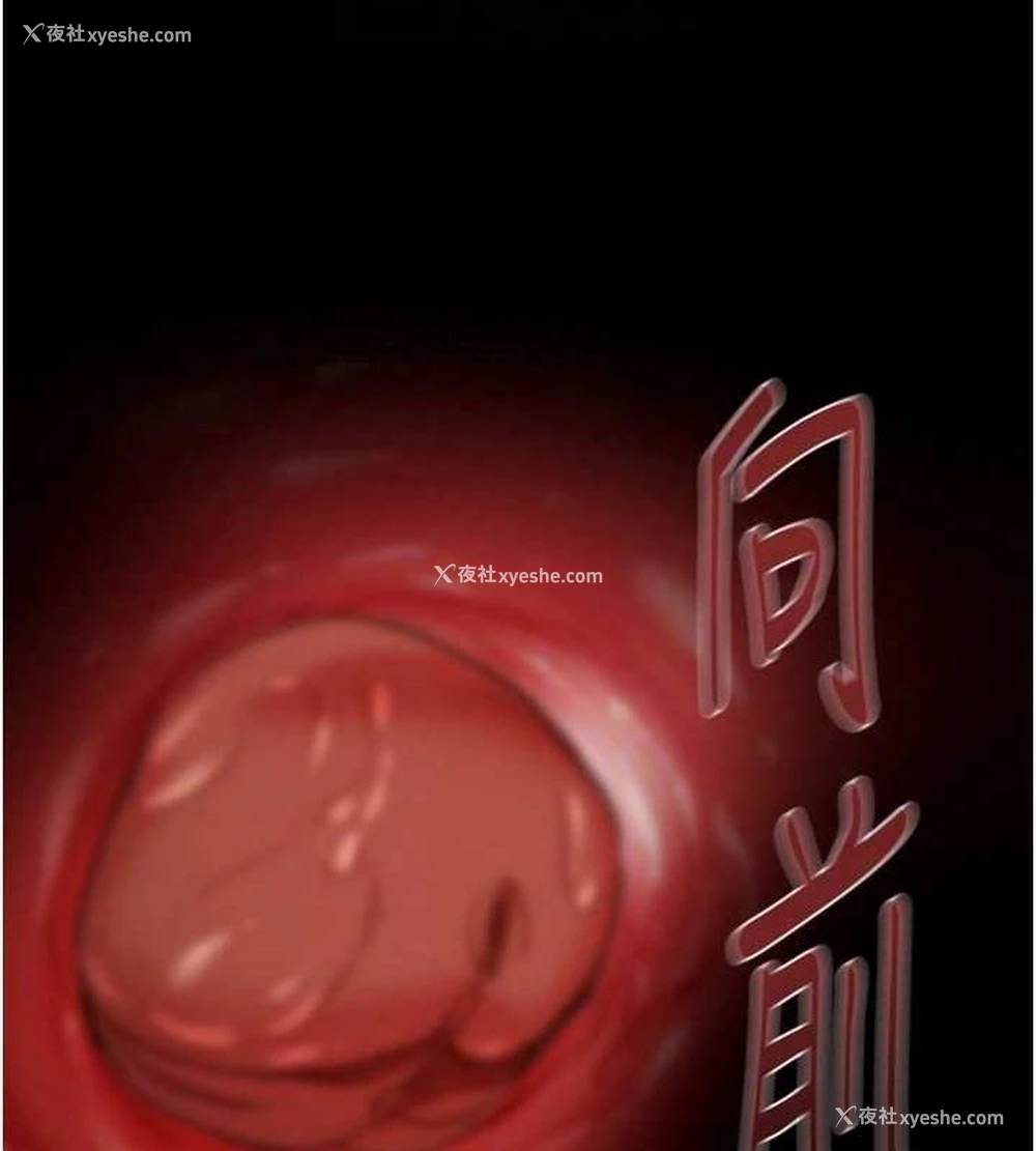 47P - 掠夺行动