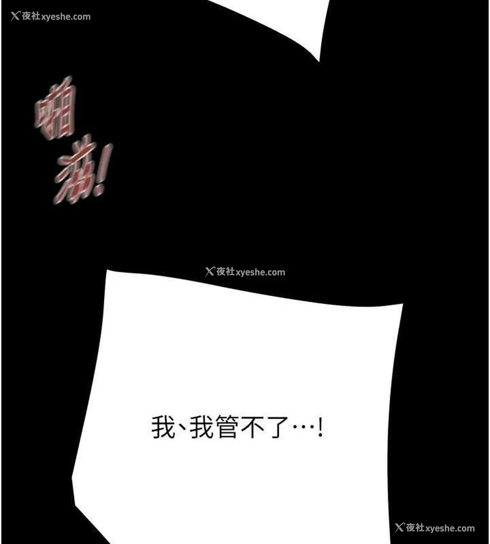 85P - 掠夺行动