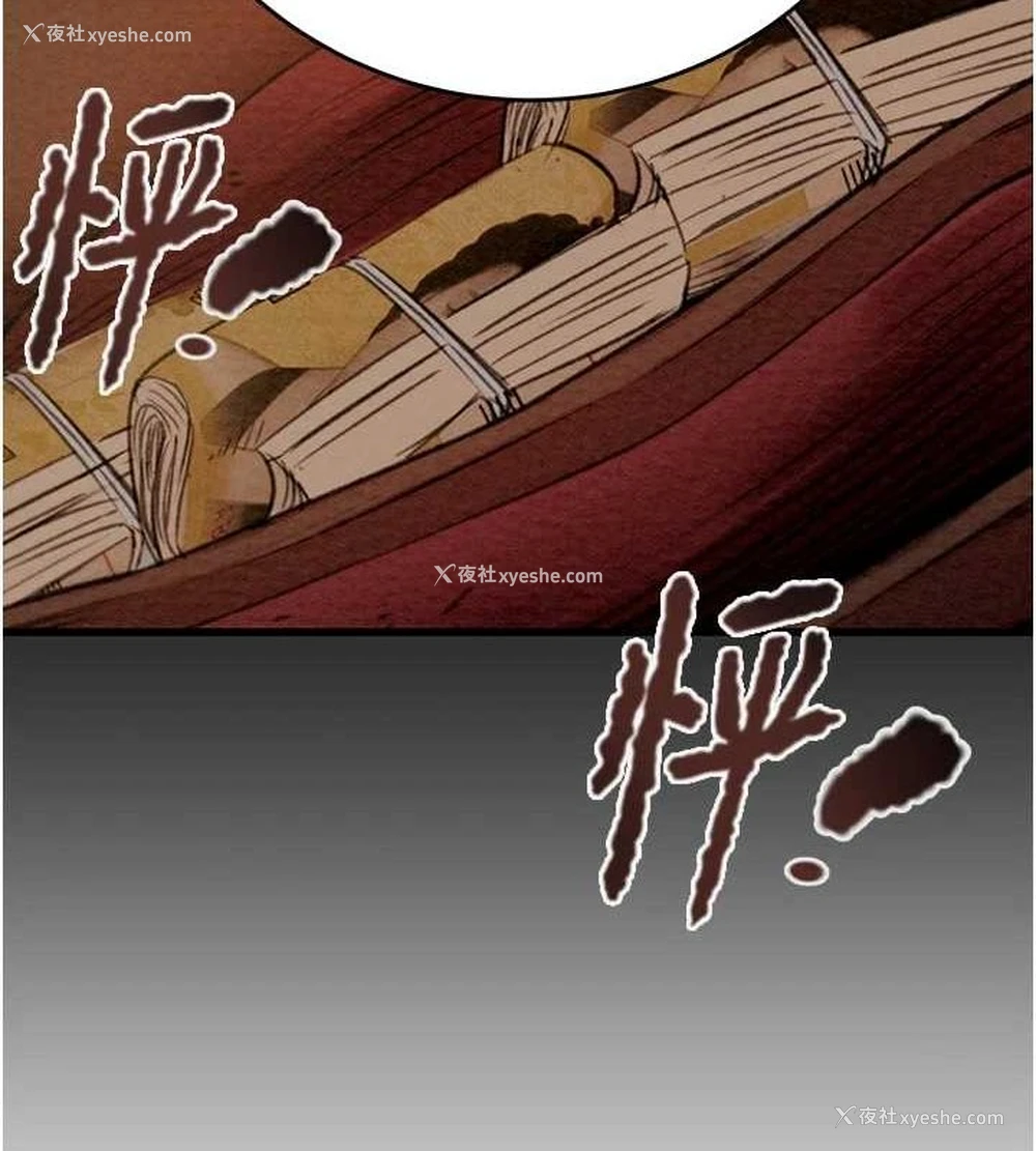 9P - 掠夺行动