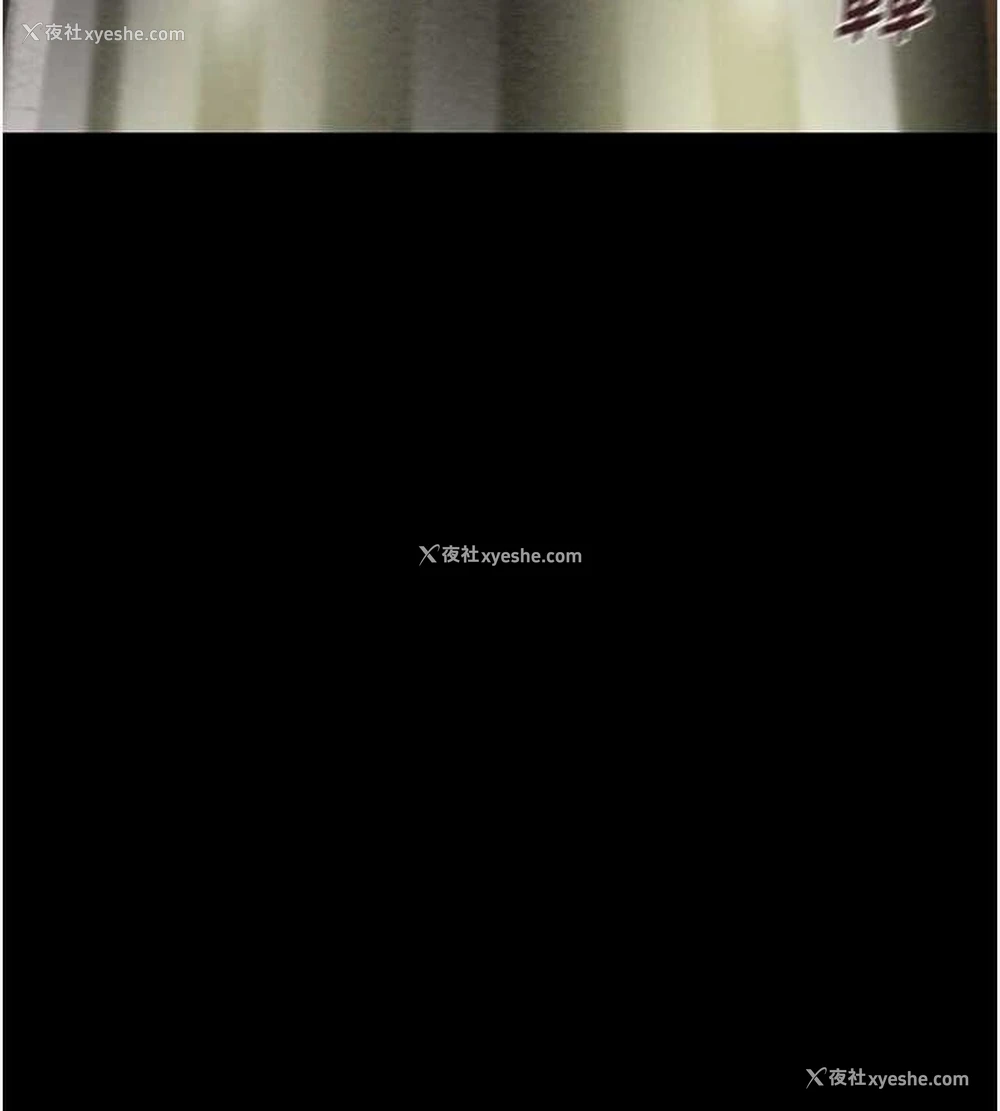 161P - 掠夺行动