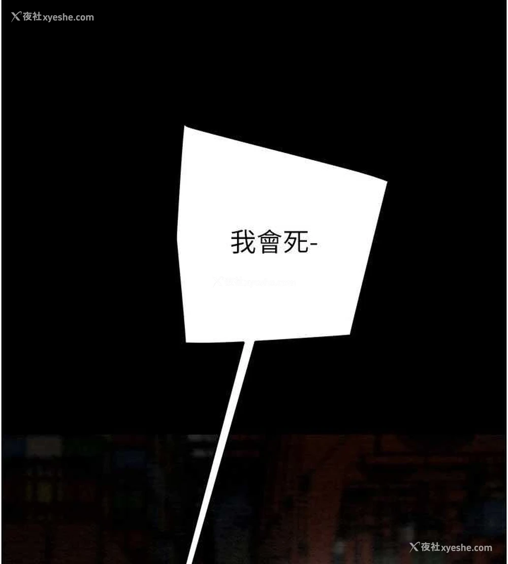 223P - 掠夺行动