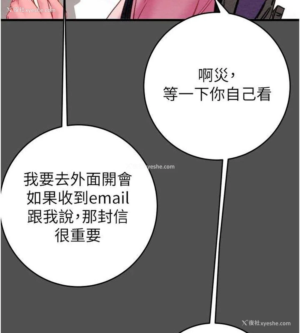 91P - 掠夺行动